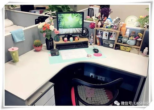 上海亚联财 办公桌diy设计大赛 投票评选火热开启啦