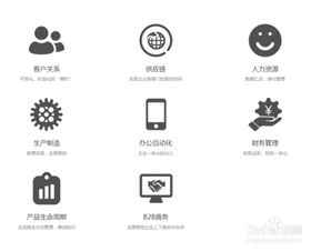 外贸公司管理软件 现代化办公平台的开发与制作