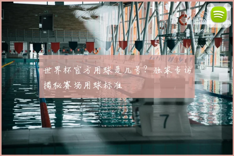 世界杯官方用球是几号？独家专访揭秘赛场用球标准