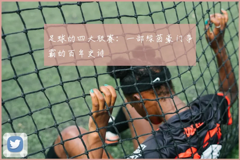 足球的四大联赛：一部绿茵豪门争霸的百年史诗