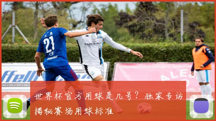 世界杯官方用球是几号？独家专访揭秘赛场用球标准